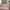 Maval Washable 4'x6' Area Rugs in Cream Color