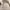 Payas Cream & Ivory Indoor/Outdoor Area Rug
